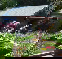 Barefoot Springs B and B - Hervey Bay Accommodation