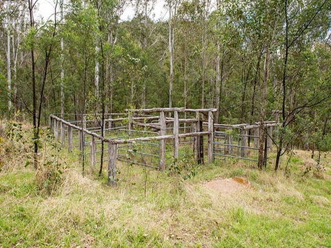 Blue Gums Campground - Hervey Bay Accommodation 1