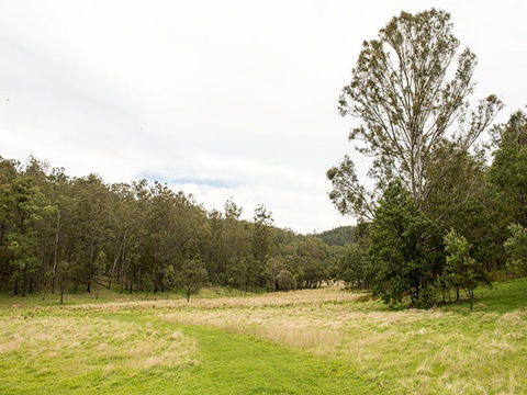 Blue Gums Campground - Hervey Bay Accommodation 2