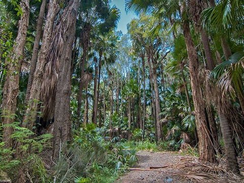 Brambles Green Campground - Hervey Bay Accommodation 1
