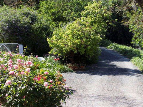 Brown's House Bed & Breakfast - Hervey Bay Accommodation 2