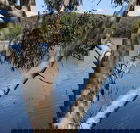 Bumberry Dam - Hervey Bay Accommodation