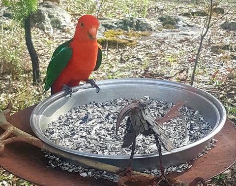 Fieri Natura In Kangaroo Valley - Hervey Bay Accommodation 2