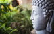 Happy Buddha Retreats - thumb 0