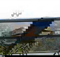 Hatters Hideout Lyres Loft - Tourism Hervey Bay