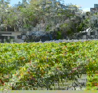 Just Red Wines Vineyard Cabins - Hervey Bay Accommodation