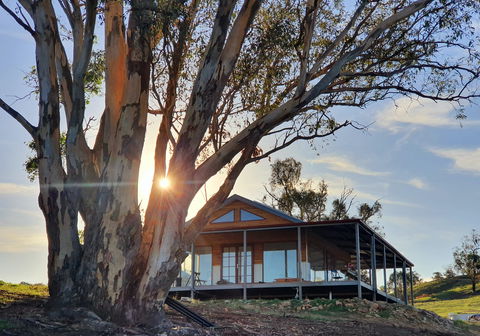 Kestrel Nest EcoHut - Hervey Bay Accommodation 0
