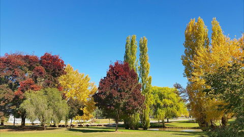 Lockhart Caravan Park - Hervey Bay Accommodation 1
