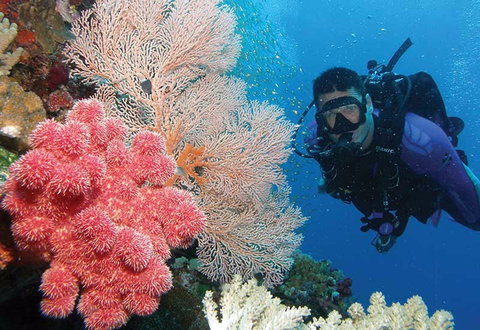 NRMA Palm Cove Holiday Park - Hervey Bay Accommodation 2