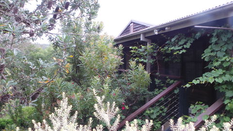 Rachels Retreat - Hervey Bay Accommodation 0