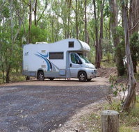 Wollomombi campground - Hervey Bay Accommodation