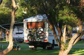 BIG4 Albany Gardens Holiday Resort - Hervey Bay Accommodation 3