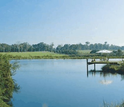 Forest Rise Eco Retreat - Hervey Bay Accommodation