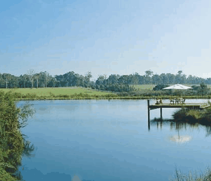 Forest Rise Eco Retreat - Tourism Hervey Bay 0