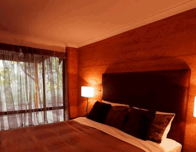 Forest Rise Eco Retreat - Tourism Hervey Bay 1
