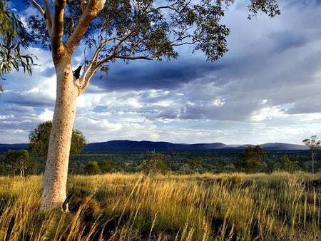 Karijini Eco Retreat - Hervey Bay Accommodation 5