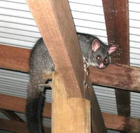 Warren River Resort - Hervey Bay Accommodation