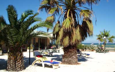 Tradewinds Seafront Apartments - Hervey Bay Accommodation 0