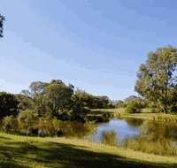 BIG4 Peppermint Caravan Park - Tourism Hervey Bay
