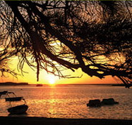 Pelican's Nest - Hervey Bay Accommodation