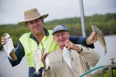 Terrace Reserve Holiday Park - Hervey Bay Accommodation 1
