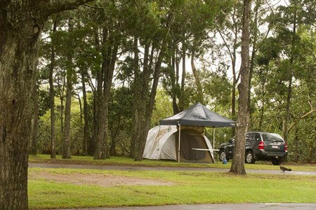 Terrace Reserve Holiday Park - Hervey Bay Accommodation 3