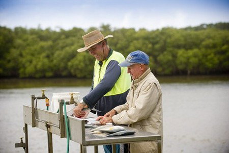 Terrace Reserve Holiday Park - Hervey Bay Accommodation 5