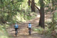 Craigmhor Mountain Retreat - Hervey Bay Accommodation 2