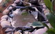 Equal Balance Bed And Breakfast - thumb 0