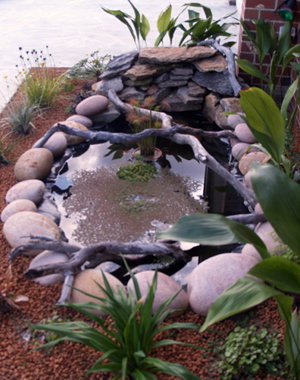 Equal Balance Bed And Breakfast - Tourism Hervey Bay 0