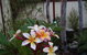 Equal Balance Bed And Breakfast - thumb 2