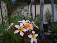 Equal Balance Bed And Breakfast - Tourism Hervey Bay 2