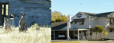 Acacia Motor Inn - Tourism Hervey Bay 5