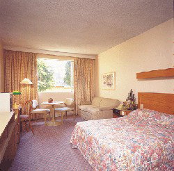 Country Comfort Armidale - Hervey Bay Accommodation 3