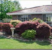Creature Comforts - Hervey Bay Accommodation