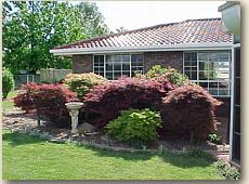 Creature Comforts - Hervey Bay Accommodation 0
