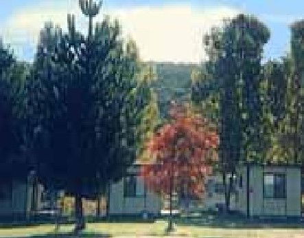 Anglers Reach Caravan Park - Tourism Hervey Bay 0