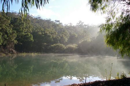 Karri Valley Chalets - Hervey Bay Accommodation 2