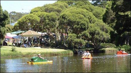 Misty Valley Country Cottages - Tourism Hervey Bay 2