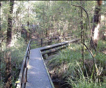Misty Valley Country Cottages - Tourism Hervey Bay 3