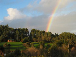 Pemberton Lavender And Berry Farm Cafe And Cottages - Hervey Bay Accommodation 3