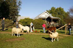 Sunnyhurst Chalets - Hervey Bay Accommodation 0