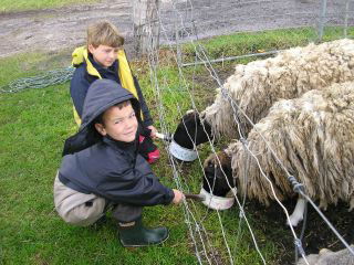 Meerup Springs Farmstay - Hervey Bay Accommodation 3