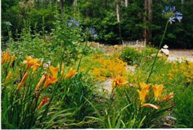Warren River Cottages - Hervey Bay Accommodation 1