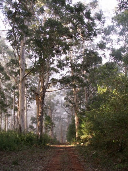 Warren River Cottages - Hervey Bay Accommodation 2