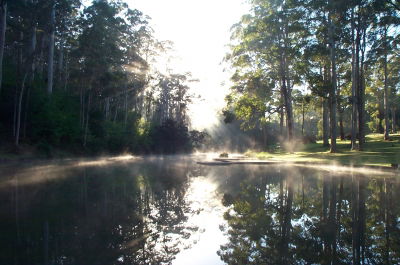 Pemberton Camp School - Hervey Bay Accommodation 3