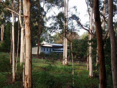Pemberton Camp School - Hervey Bay Accommodation 5