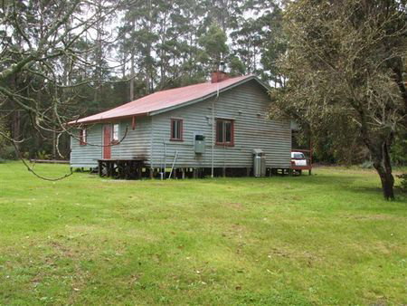 Pemberton Forest Stay - Hervey Bay Accommodation 5