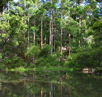 Peppermint Grove Retreat - Hervey Bay Accommodation