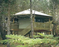 Possums Hideaway - Hervey Bay Accommodation 0
